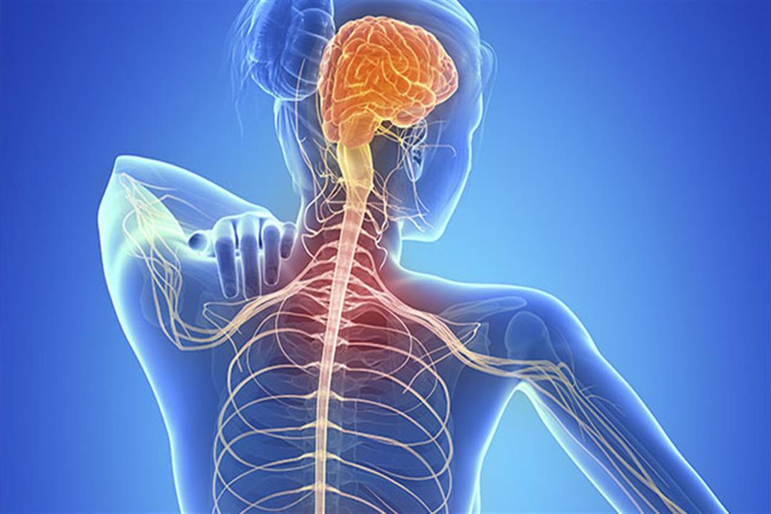 التعايش مع التصلب العصبي المتعدد.. مفاهيم خاطئة وحقيقة علمية